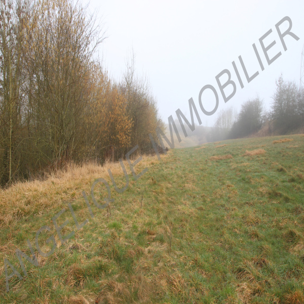 Offres de vente Terrain Gournay-en-Bray 76220